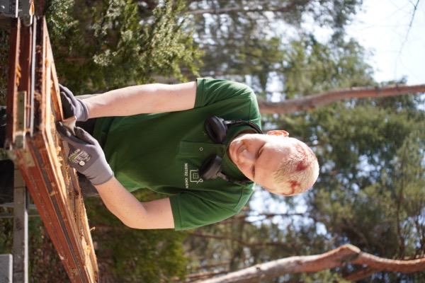 Serwis i naprawa okien